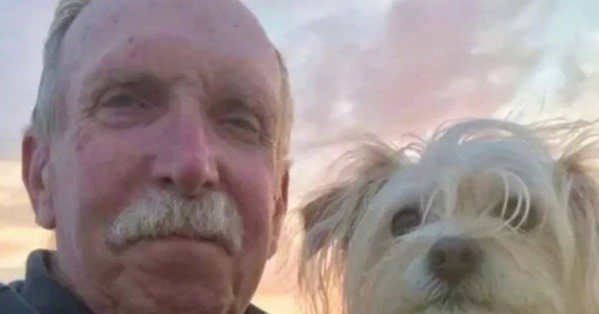 Mother Faces Charges After Son's Electric Motorcycle Accident Seriously Injures 81-Year-Old Veteran