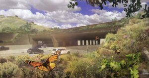 New Wildlife Crossing Over 101 Freeway in Agoura Hills Announces Opening Date