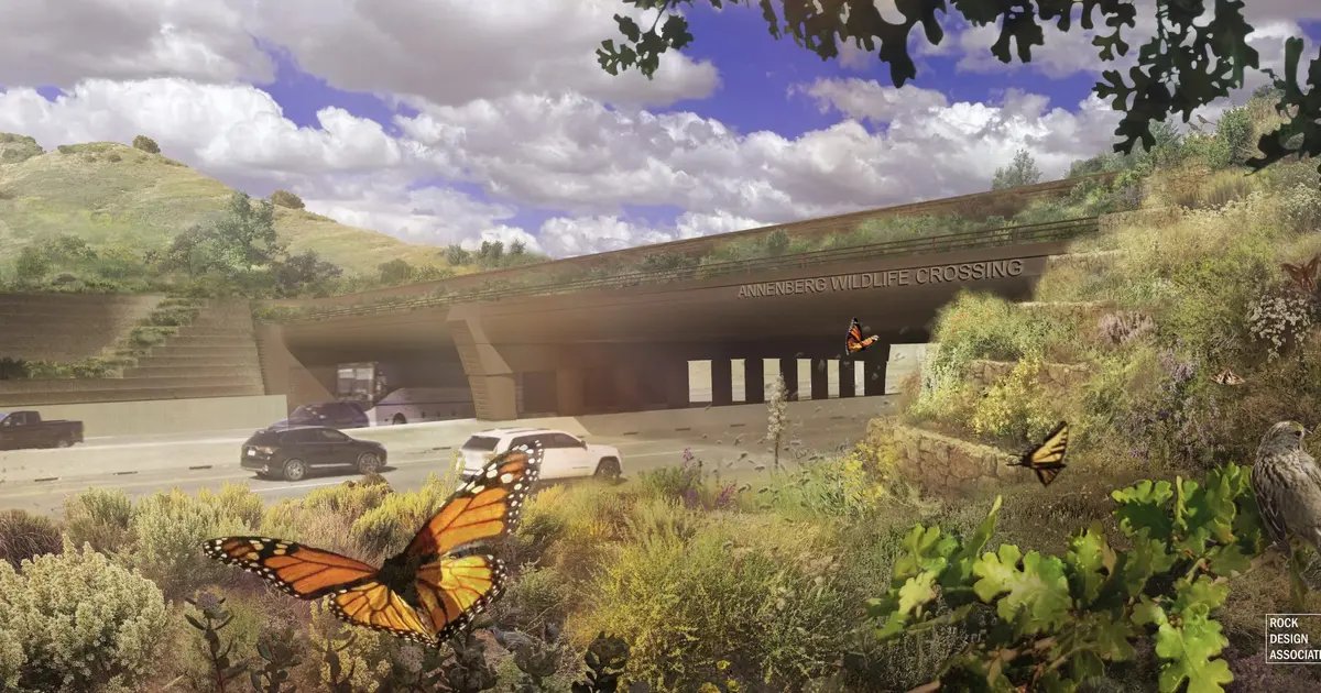 New Wildlife Crossing Over 101 Freeway in Agoura Hills Announces Opening Date