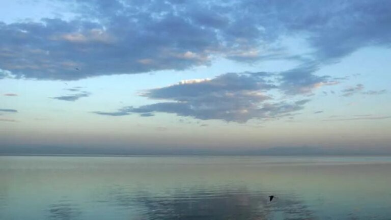 Newsom Starts New Effort to Restore the Salton Sea