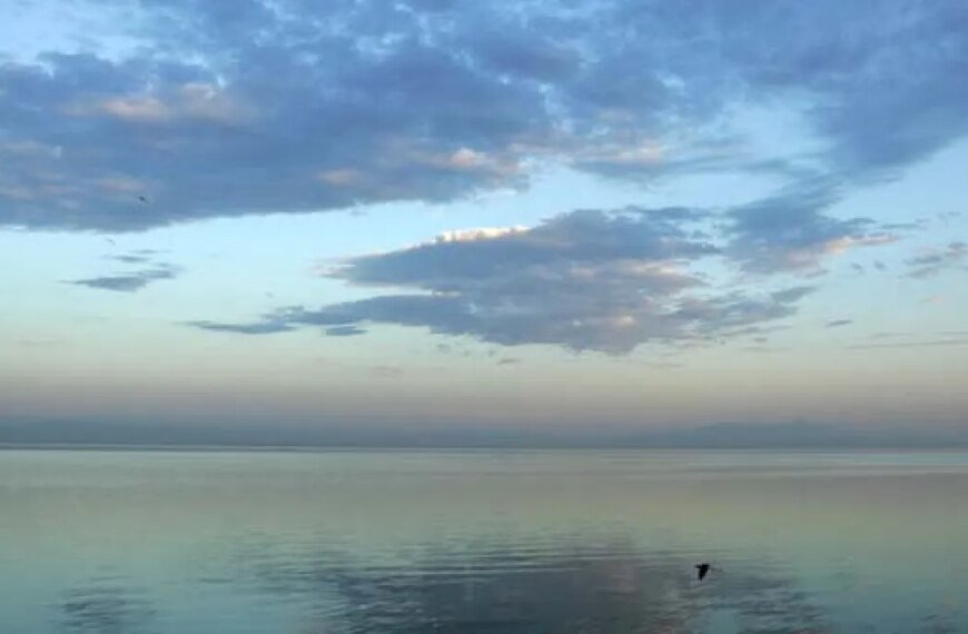 Newsom Starts New Effort to Restore the Salton Sea