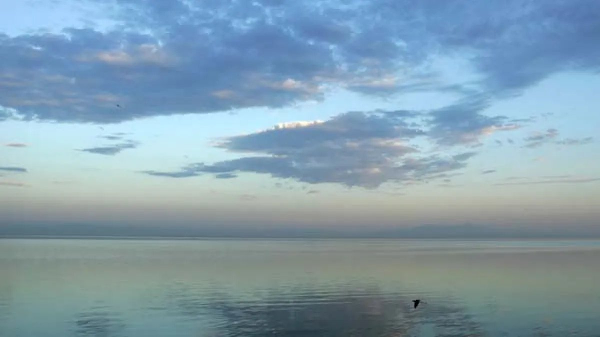 Newsom Starts New Effort to Restore the Salton Sea