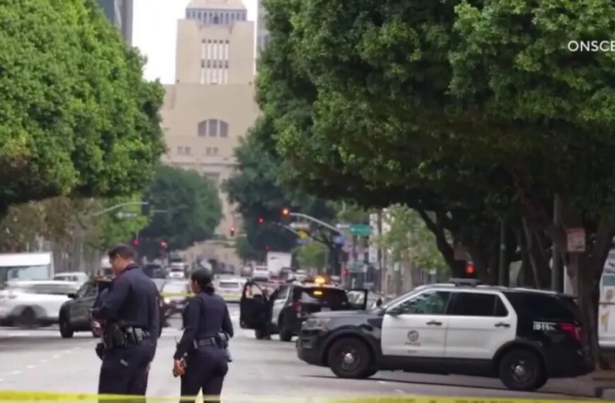 Parolee Faces Charges After Stabbing an Elderly Woman in Downtown LA