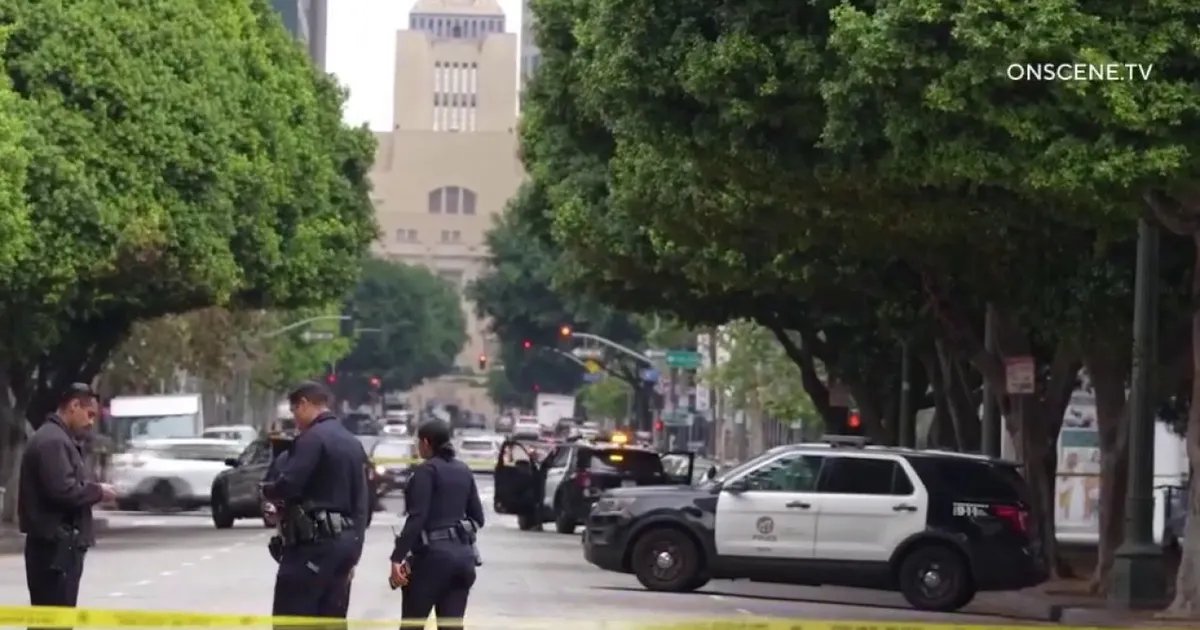 Parolee Faces Charges After Stabbing an Elderly Woman in Downtown LA