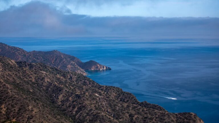 Plane Crash on Catalina Island Claims Two Lives