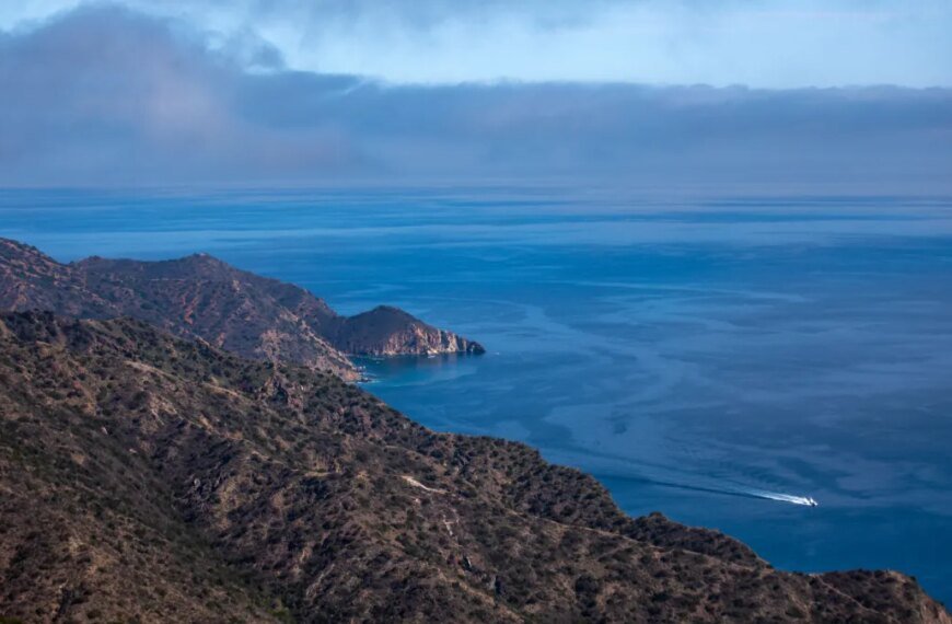 Plane Crash on Catalina Island Claims Two Lives