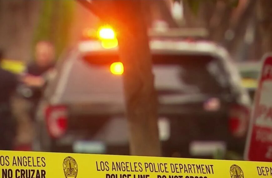 Police Recover 7 Stolen Catalytic Converters from Prius After Westside Pursuit