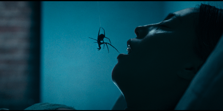 Roadside Attractions and Saban Films Pick Up Spider Horror Film 'Crawlers'