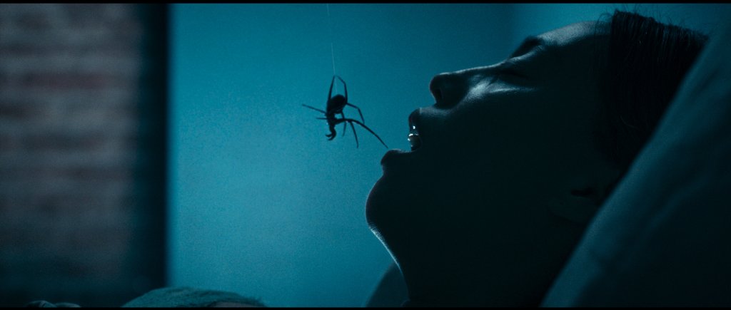 Roadside Attractions and Saban Films Pick Up Spider Horror Film 'Crawlers'