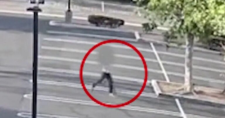 Santa Ana Woman Safely Escapes Kidnapping Attempt Near Her Workplace, Say Police