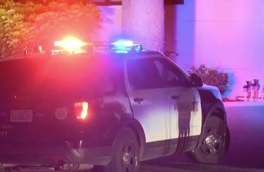 Shooting Incident in West Hollywood Involves Family Outing