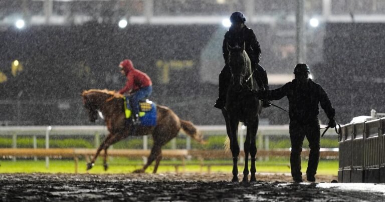 Silent Tactic Withdraws from Kentucky Derby, Opening Spot for Great White