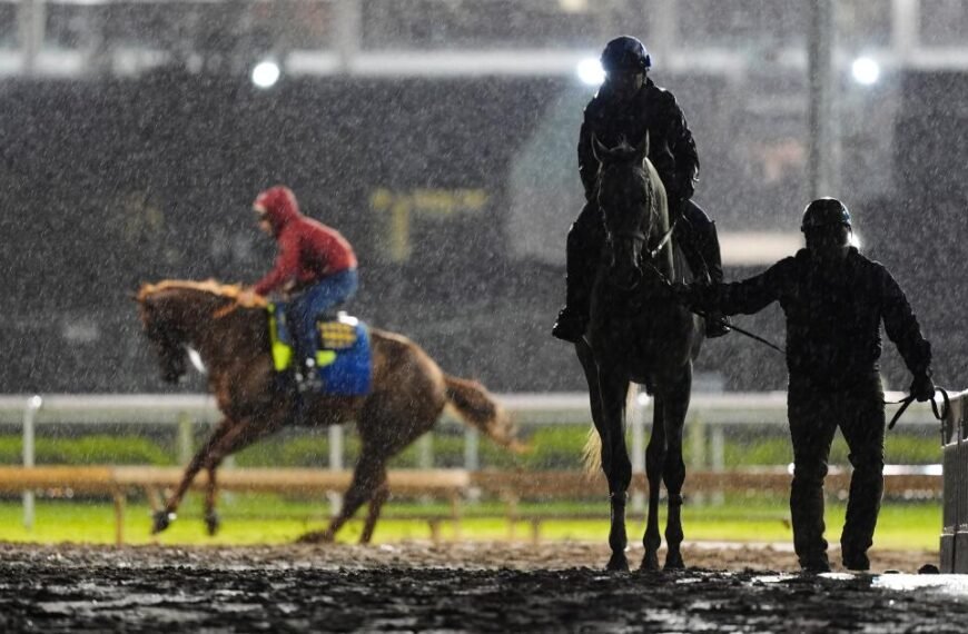 Silent Tactic Withdraws from Kentucky Derby, Opening Spot for Great White