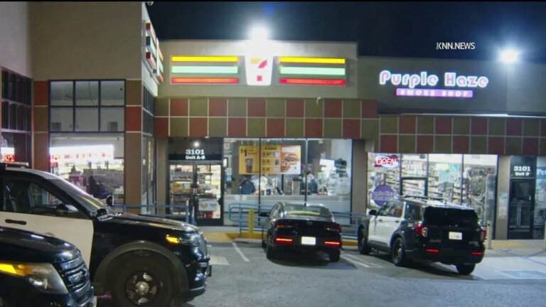 Thieves Steal from 7-Eleven Stores Throughout Los Angeles
