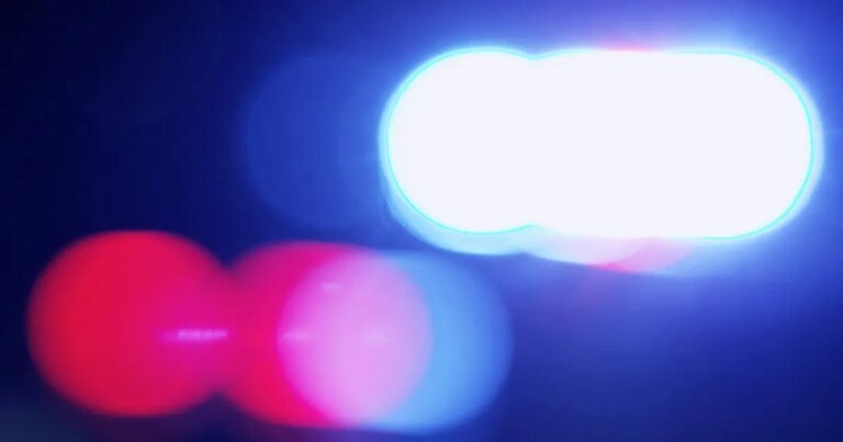 Torrance Police Alert Community About Unauthorized RAT Beach Gathering This Saturday