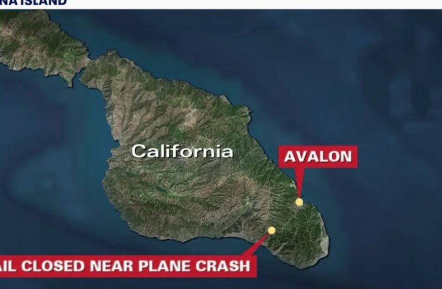 Tragic Plane Crash on Catalina Island Claims Two Lives