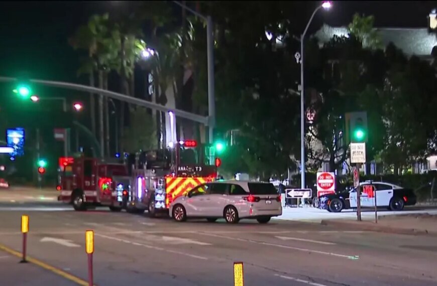 Two Lives Lost in Anaheim Single-Vehicle Accident