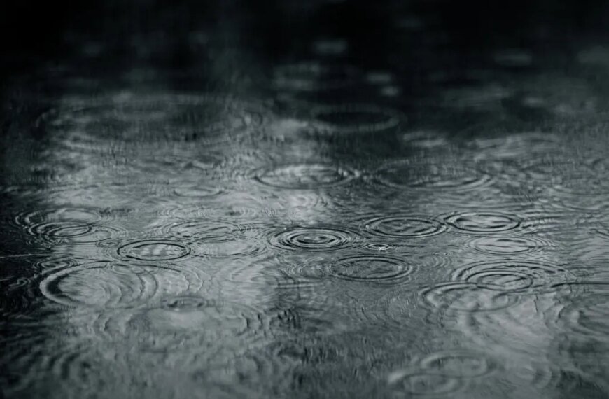 Weekend Weather Update: Expect Rain and Possible Thunderstorms