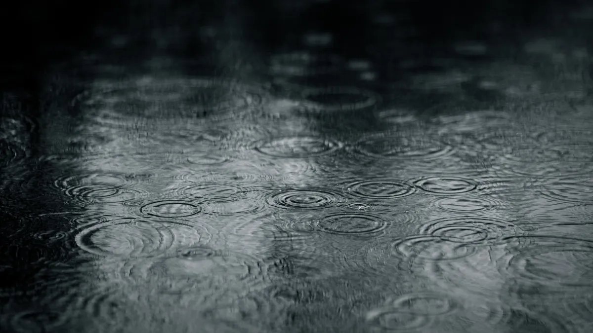 Weekend Weather Update: Expect Rain and Possible Thunderstorms