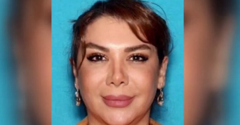 Woman from Woodland Hills Arrested at LAX on Suspicion of Arms Trafficking for Iran