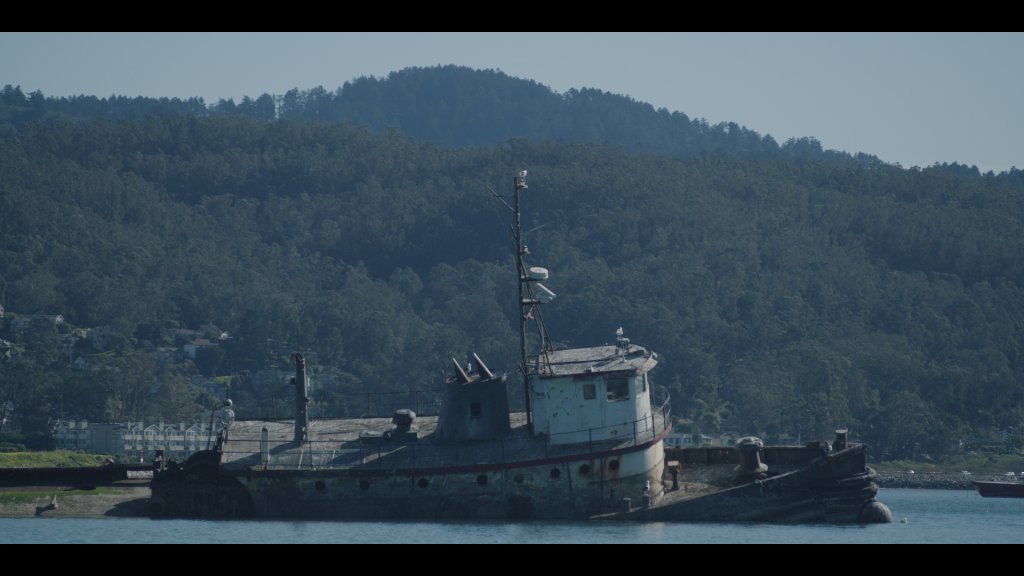 Zizians Docuseries Coming to HBO