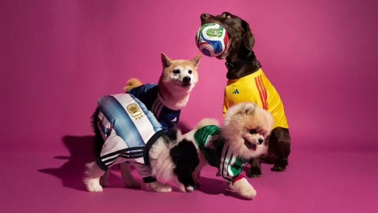 Stylish World Cup Jerseys for Your Beloved Pets