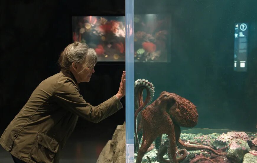 Sally Field and Lewis Pullman Connect in a Heartfelt and Humorous Adaptation of 'Remarkably Bright Creatures' Featuring a Quirky Octopus