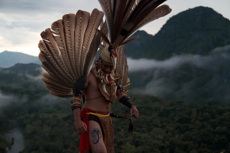 Janet Yang and Rai Cinema Collaborate on Borneo Rainforest Documentary 'Shinta' at Cannes Market
