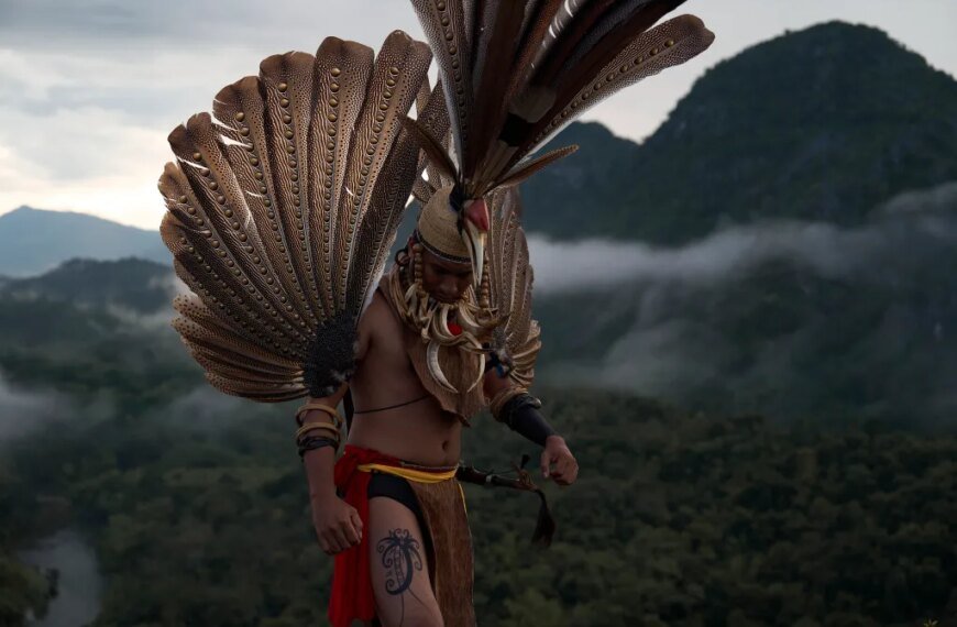Janet Yang and Rai Cinema Collaborate on Borneo Rainforest Documentary 'Shinta' at Cannes Market