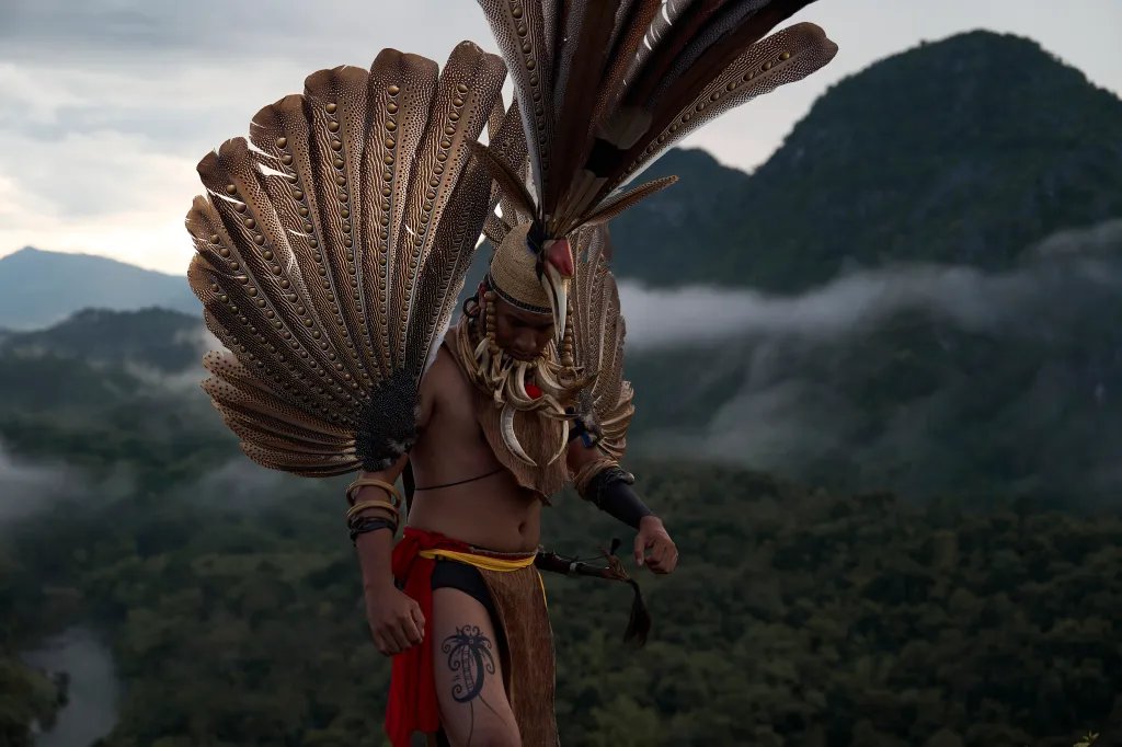 Janet Yang and Rai Cinema Collaborate on Borneo Rainforest Documentary 'Shinta' at Cannes Market