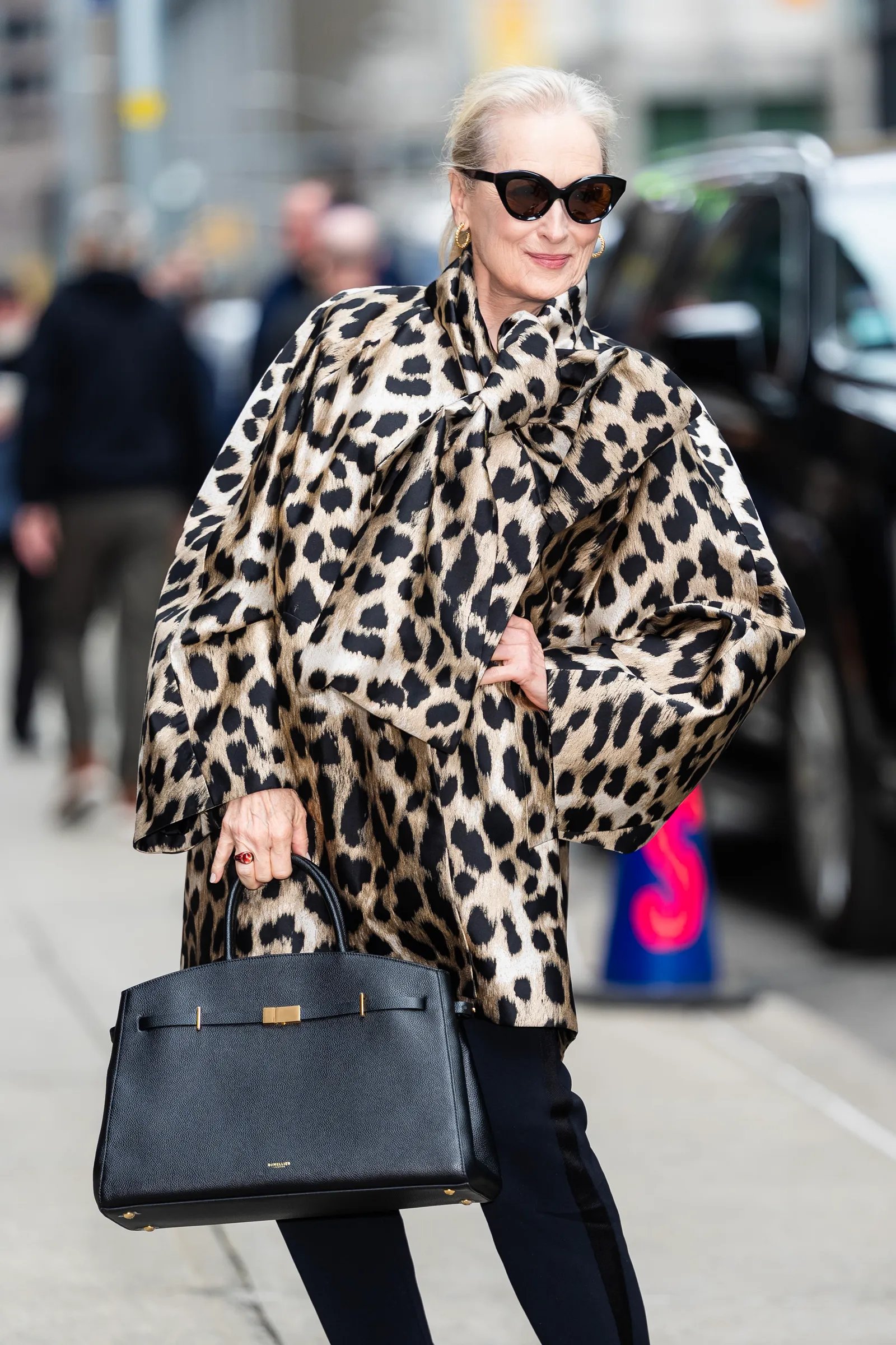 Meryl Streep wearing the DeMellier Hudson Bag