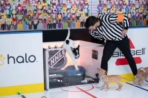 2026 Stanley Pup Image 5
