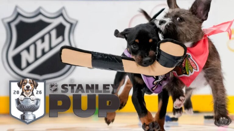 Stanley Pup 2026 Rescue Dog Competition Premieres to Celebrate Hockey Playoffs