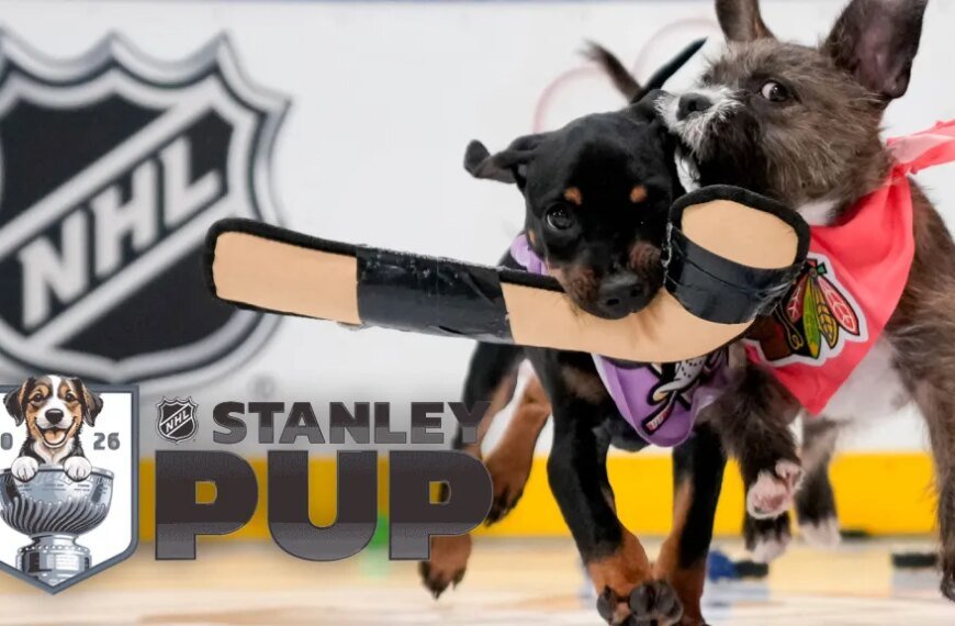 Stanley Pup 2026 Rescue Dog Competition Premieres to Celebrate Hockey Playoffs