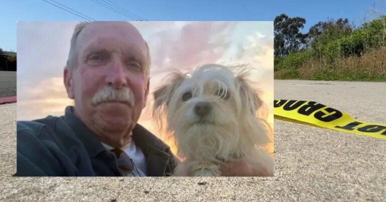 81-Year-Old Veteran Passes Away After Accident Involving Teen on E-Motorcycle