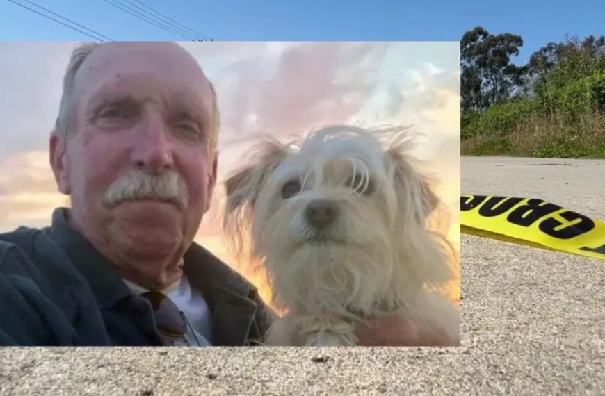 81-Year-Old Veteran Passes Away After Accident Involving Teen on E-Motorcycle