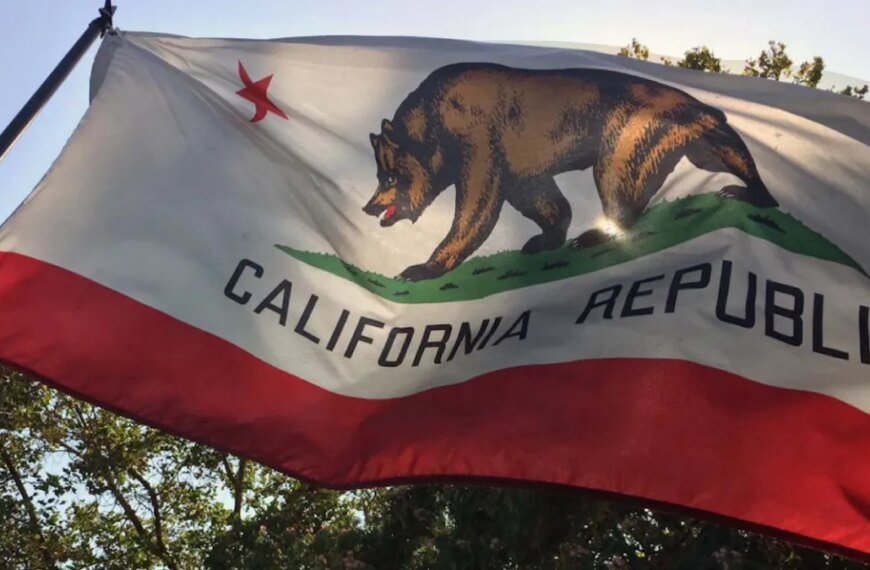 A Look at the State Office Races in California’s June Primary Election