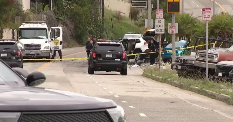Arrest in Playa del Rey Hit-and-Run Case Involving Father and Young Son