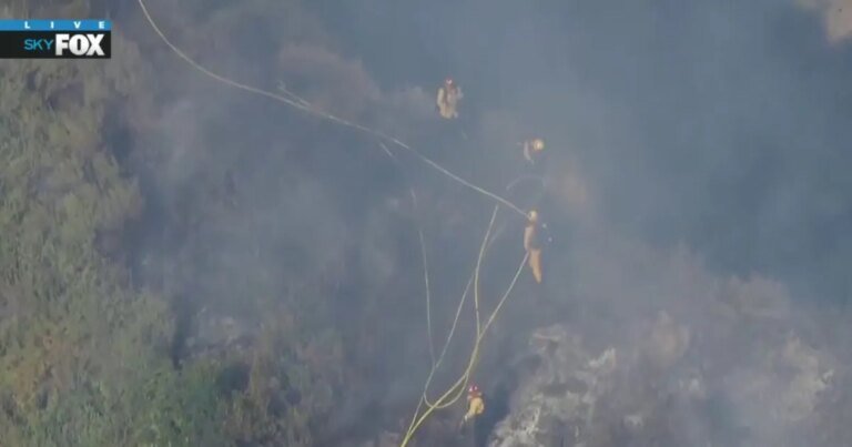 Brush Fire in Hollywood Hills: All Safe, No Injuries Reported