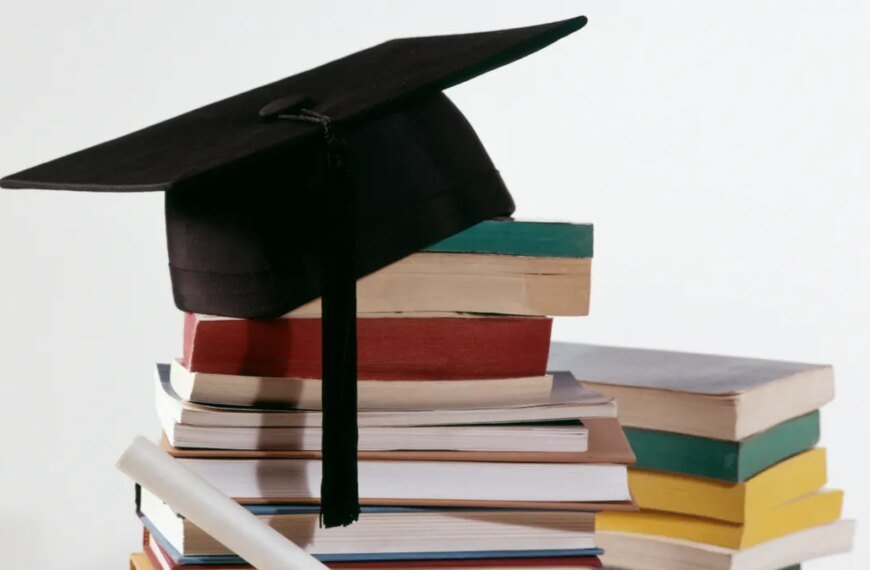 CSU Introduces Three New Bachelor’s Degree Options