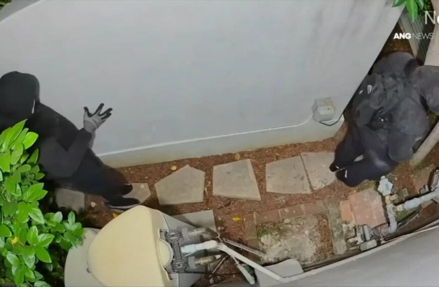 Camera Footage Shows Suspicious Activity Between Homes in Mid-Wilshire