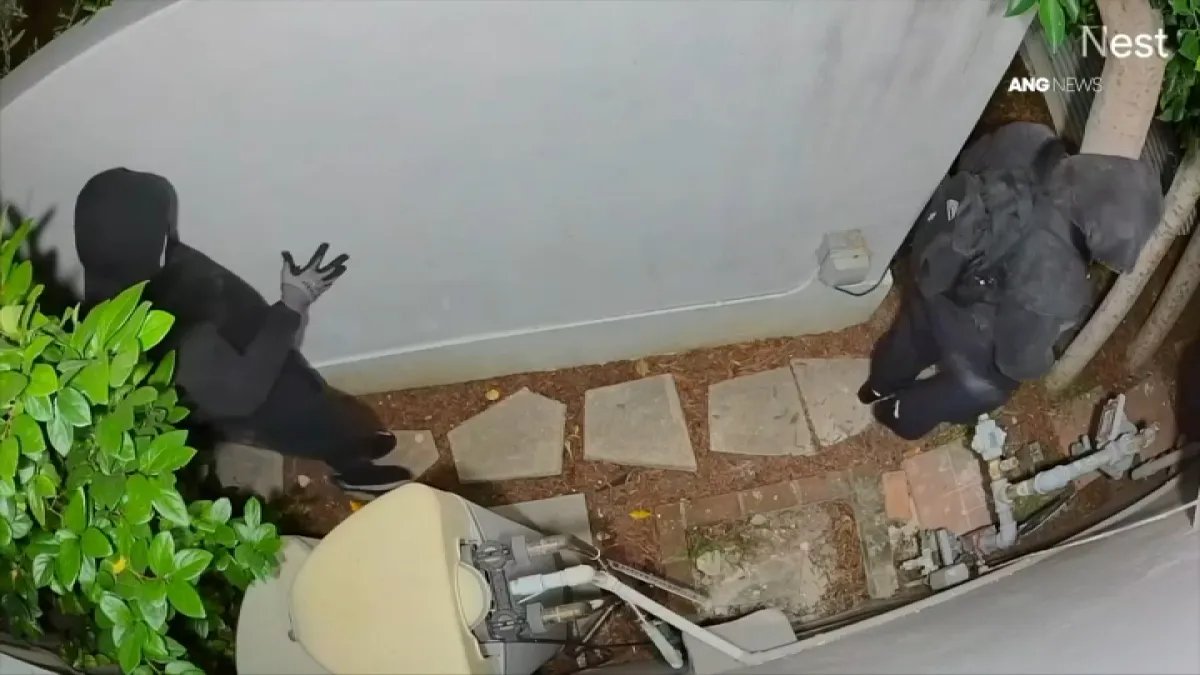 Camera Footage Shows Suspicious Activity Between Homes in Mid-Wilshire