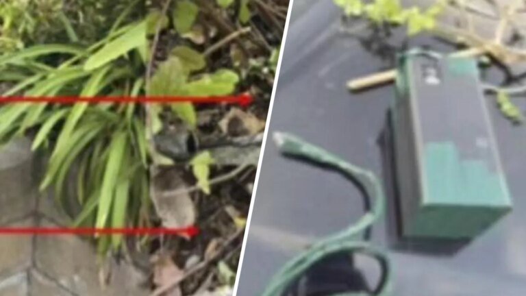 Cameras Discovered in San Dimas Tied to Recent Burglary Incidents, According to Deputies