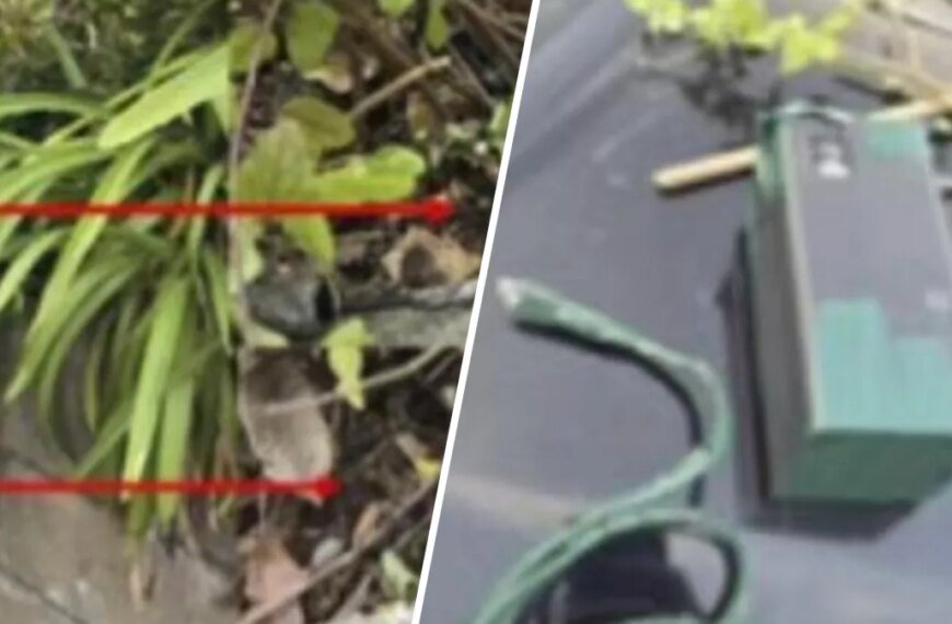 Cameras Discovered in San Dimas Tied to Recent Burglary Incidents, According to Deputies