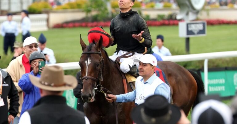Dodgers Pitcher and Horse Racing Jockeys Tied to Cockfighting in Puerto Rico