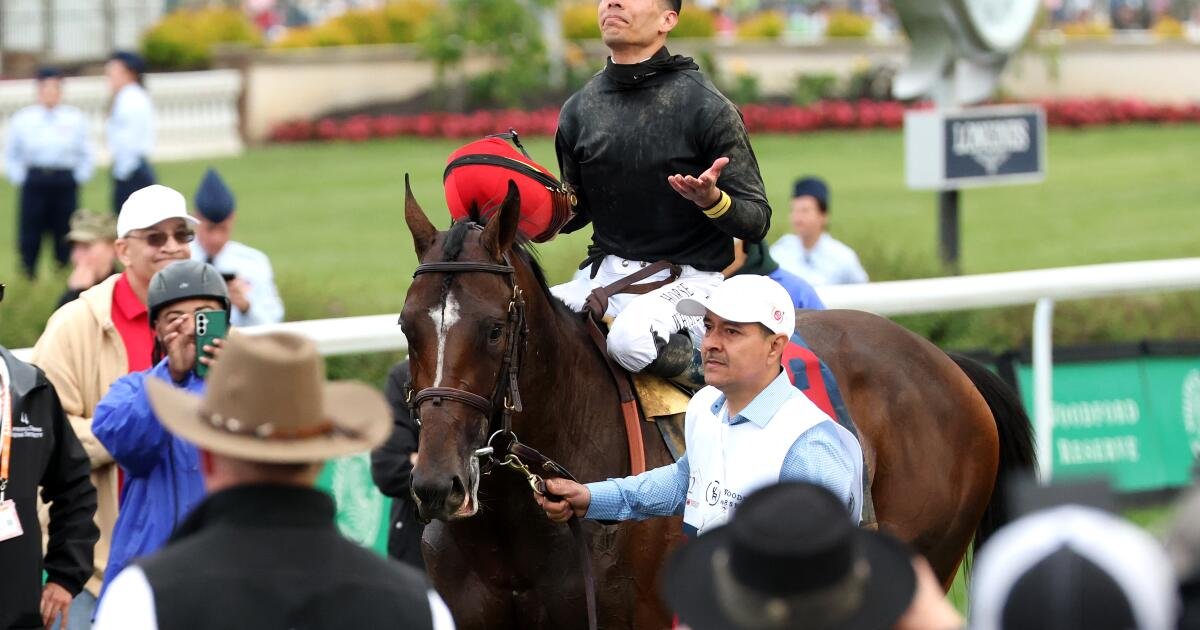 Dodgers Pitcher and Horse Racing Jockeys Tied to Cockfighting in Puerto Rico