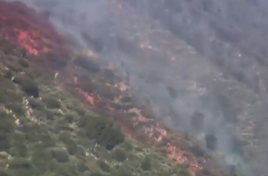 Evacuation Warning Issued Due to Burro Fire in Angeles National Forest