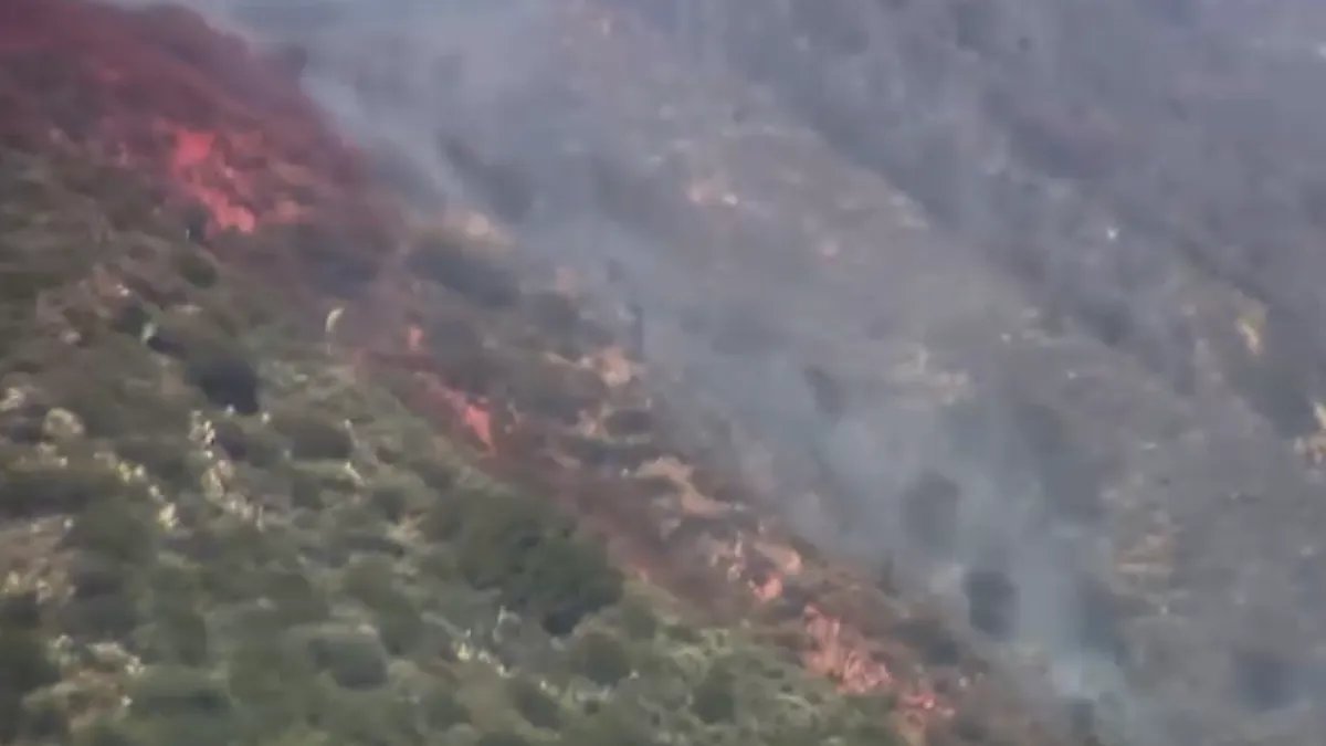 Evacuation Warning Issued Due to Burro Fire in Angeles National Forest