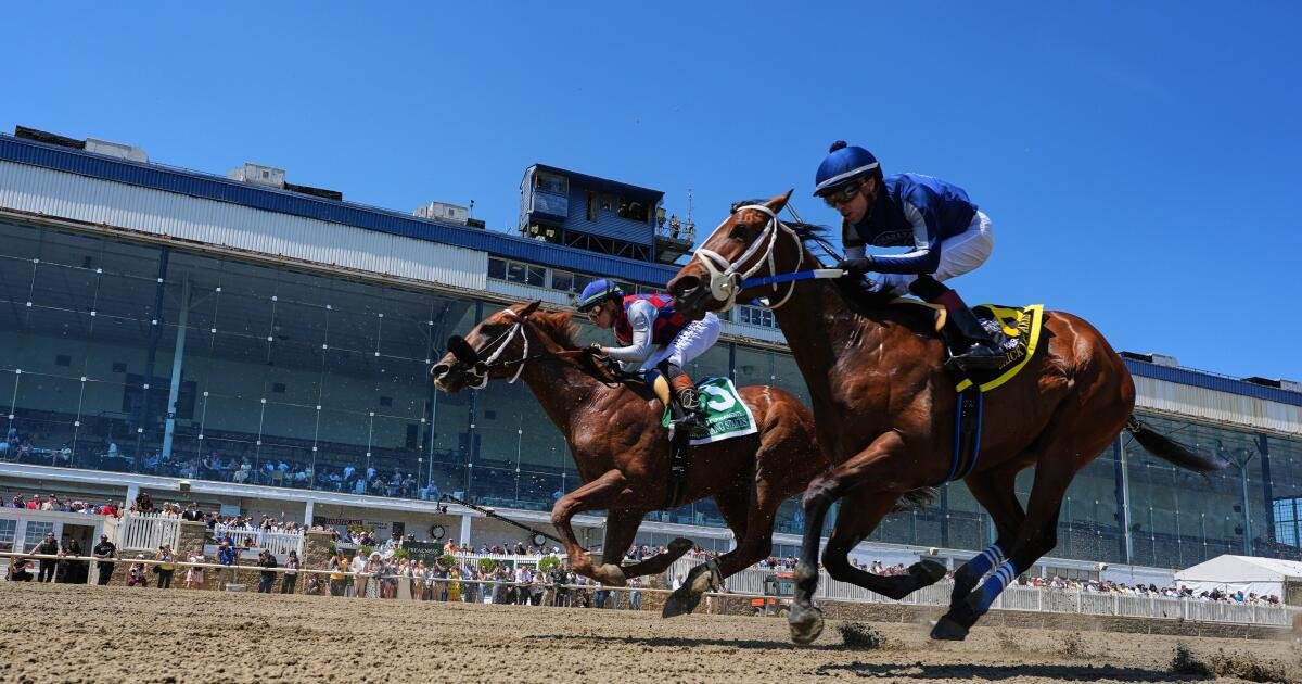 Everything You Need to Know About the Preakness: Start Time, Betting Odds, and More