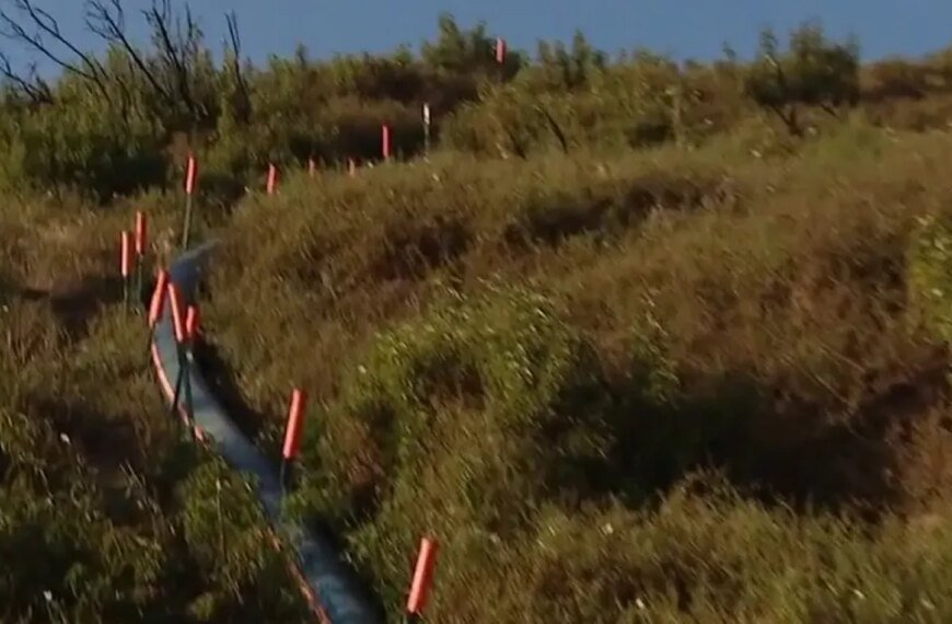 Fire Risks Increase in Pacific Palisades as Brush Accumulates and Reservoir Stays Offline